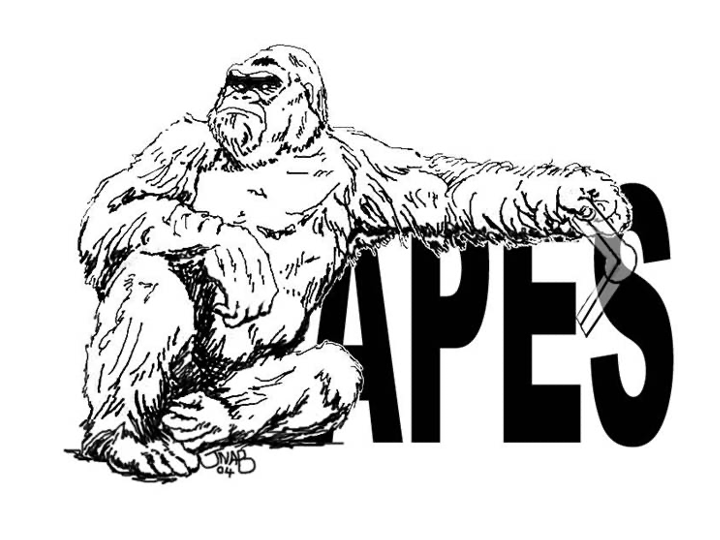 Traditional right sidebar layout